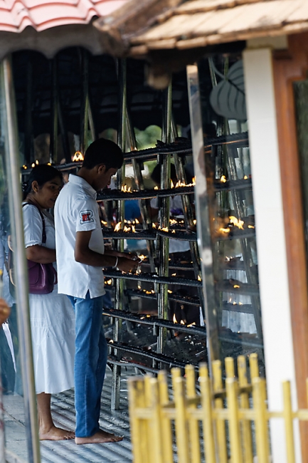 Kandy-Temple de la dent-098